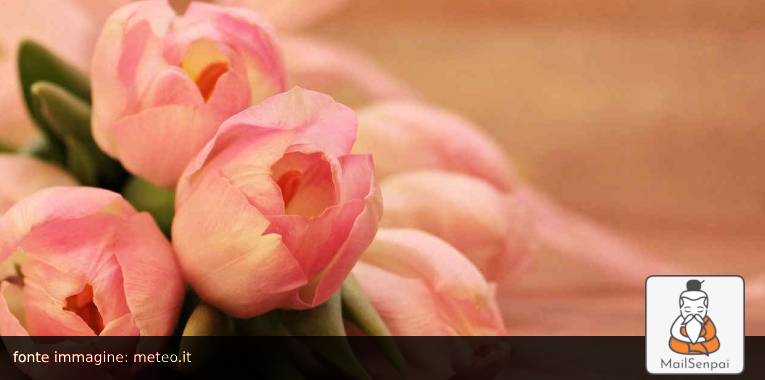 festa della mamma mail